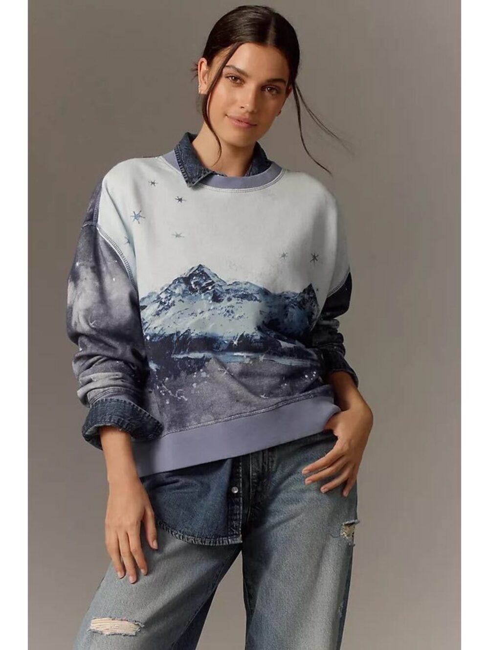 New Anthropologie Pilcro Scenic Mountain Crew-Neck Sweatshirt Size L